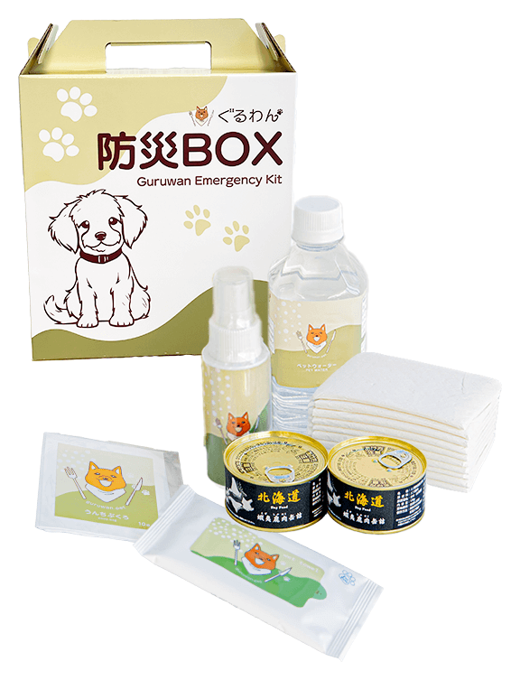 防災BOXの箱とその中身