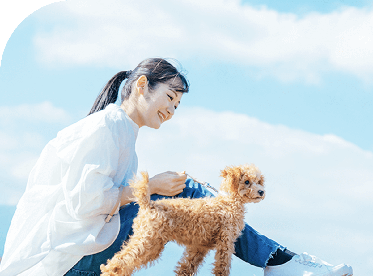 立っているワンちゃんと座っている女性が横に並んでいる