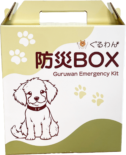 防災BOX 1dayセットの箱
