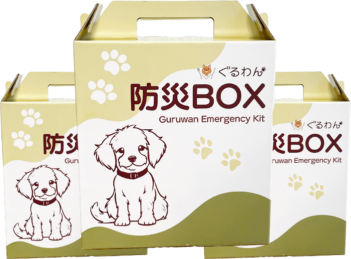 防災BOX 3daysセットの箱