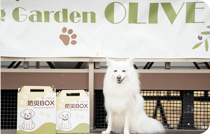 防災BOXとワンちゃんが並んいる
